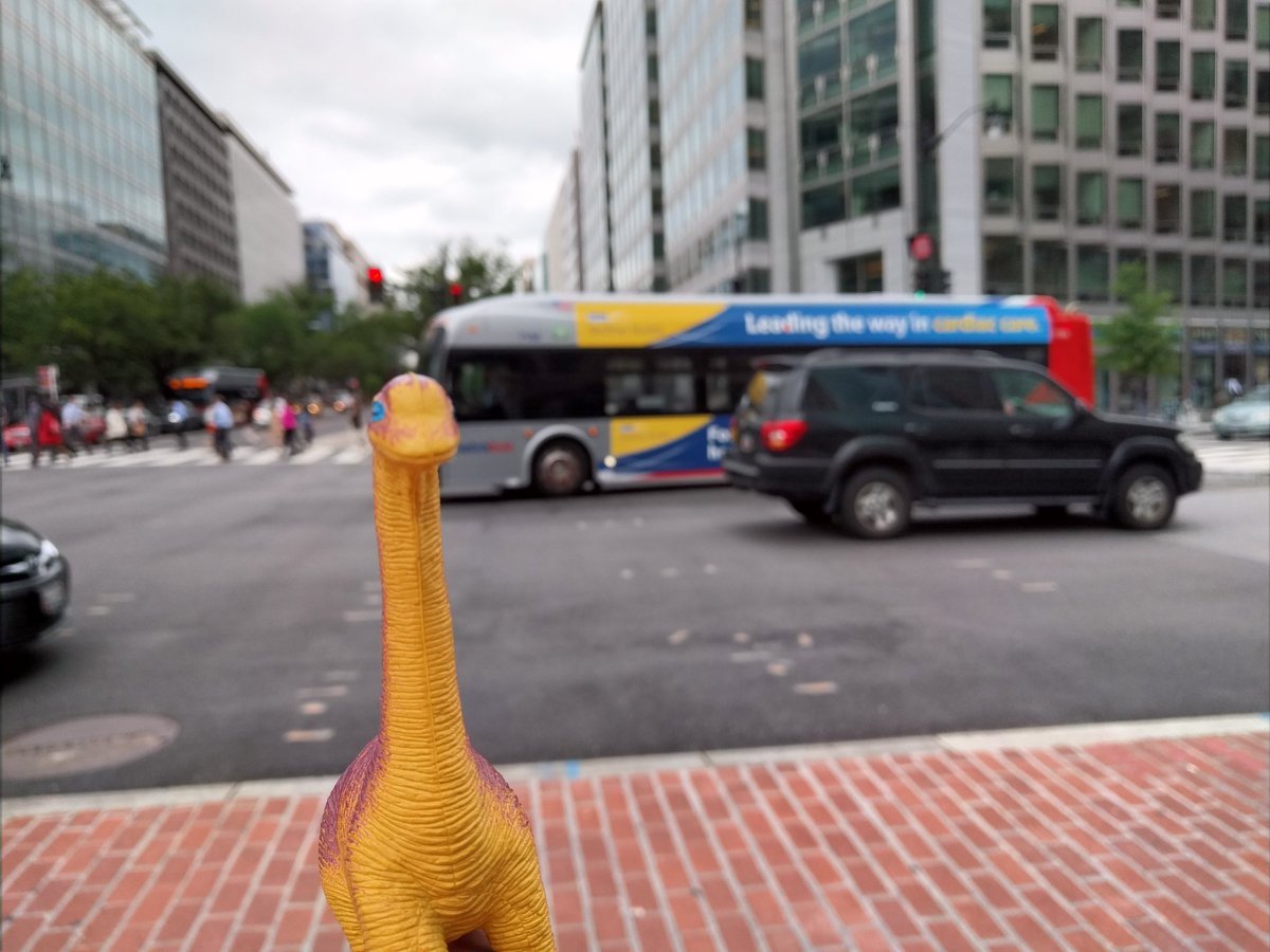 DinosaurStompy's tweet photo. Out and about on Washington DC. Just Stomping around. #WashingtonDC #Dinosaurontheloose #RAWR #Dinosaurs https://t.co/ZPNWZwMF5C