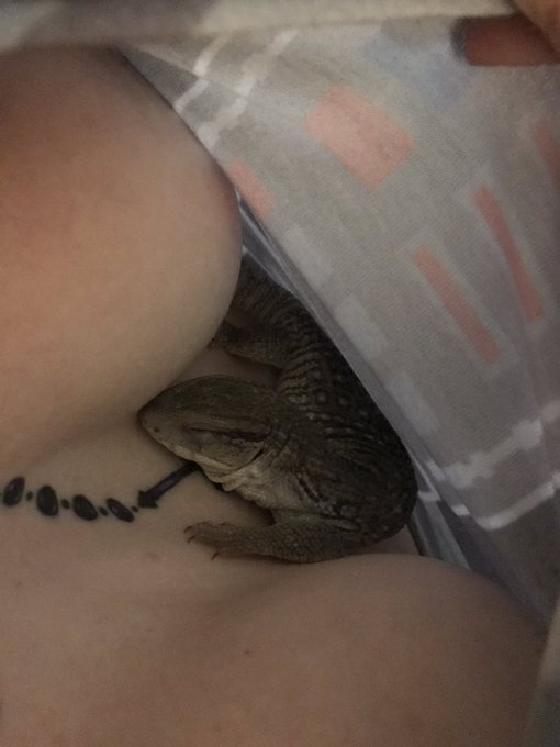 He is such a boob boy https://t.co/ulqwS9ZRIO