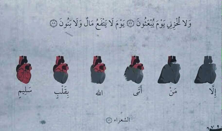 sarap55f's tweet photo. إِلَّا مَنْ أَتَى الله بِقَلْبٍ سَلِيمٍ :
#كيلو82 https://t.co/cYqKiQUfRm