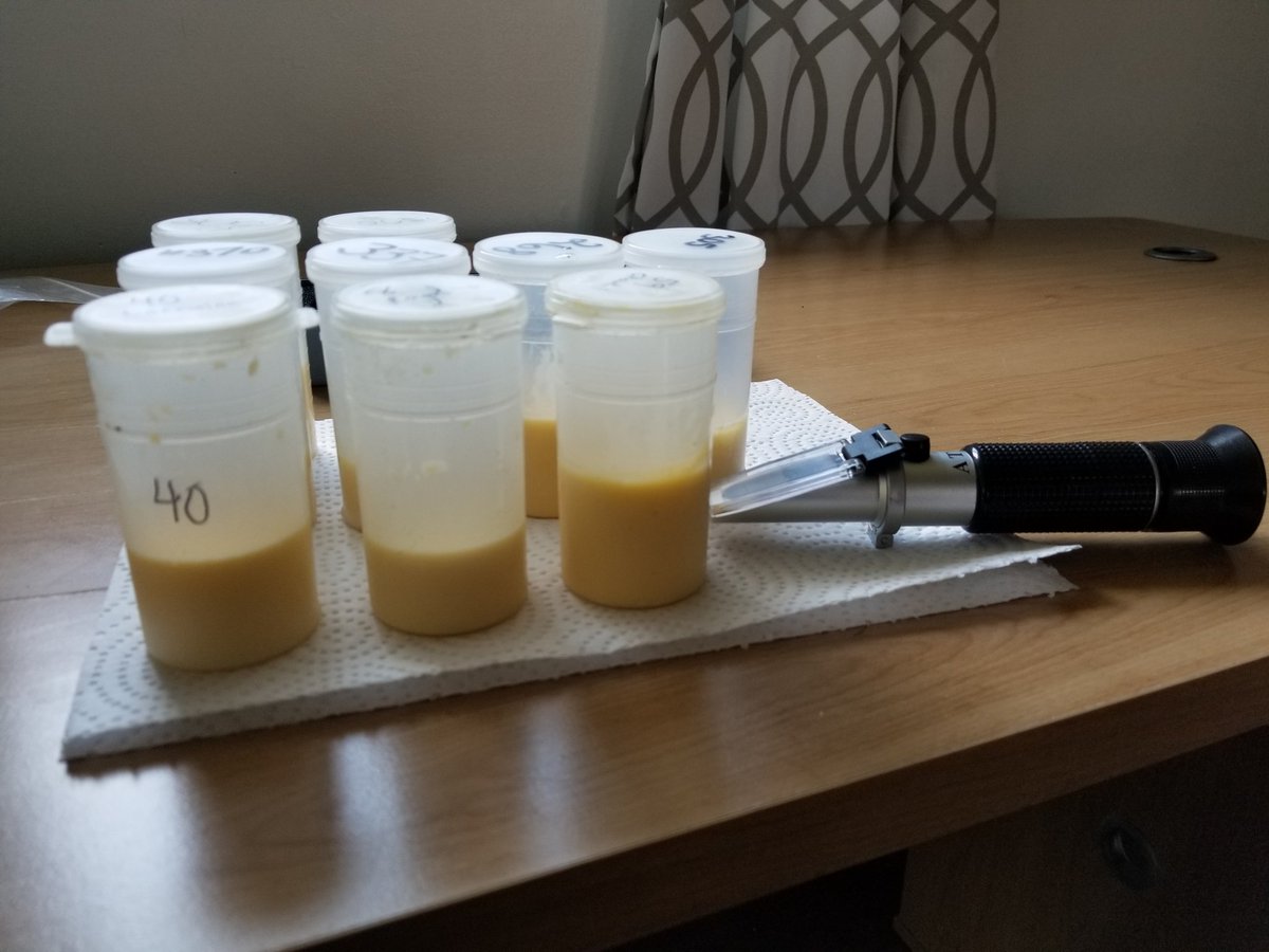 MikaylaMorden's tweet photo. First round of colostrum samples! Only about 60 to go π
#PurinaProactive https://t.co/Oz1gEBID3R