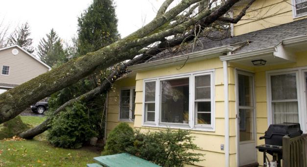 ProRestoreINC's tweet image. Clearing the debris in the aftermath of a storm is often the easy part.
ow.ly/Xzxf30c0Os9
Let Us Help You Inspect and Repair
