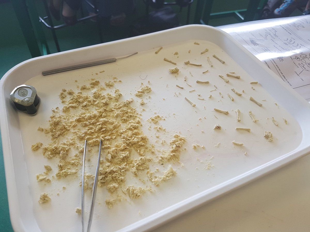 ASETechs's tweet image. @stpetersyork lots of technicians taking part in some fantastic sessions. #techconf #techniciansrule @ogdentrust