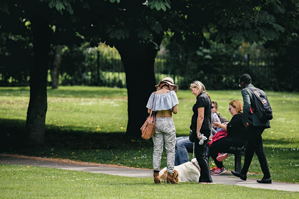 explore_sutton's tweet image. Out in the #Sun #Sutton