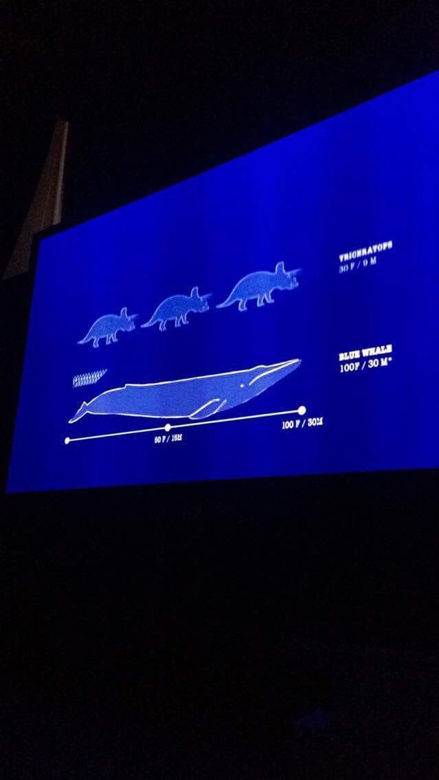 FXU_WildDocSoc's tweet photo. Our next Sci-Fest event is happening now! We're screening 'A Plastic Ocean' which looks at one of the most important issues of our time! https://t.co/Dqqk98mZHR