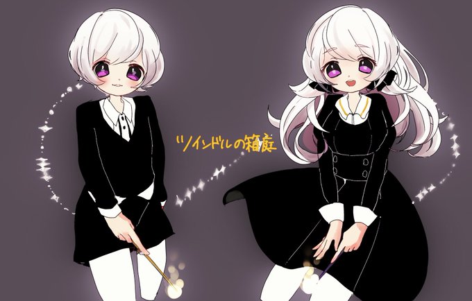 ツインドルの箱庭のtwitterイラスト検索結果 ツインドルの箱庭のtwitterイラスト検索結果