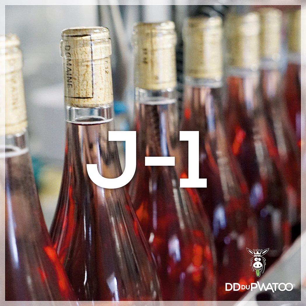 Le nouveau BB de DD est prévu pour demain. Sinon, on déclenche. #DeTouteFaçon #Poitou #Été