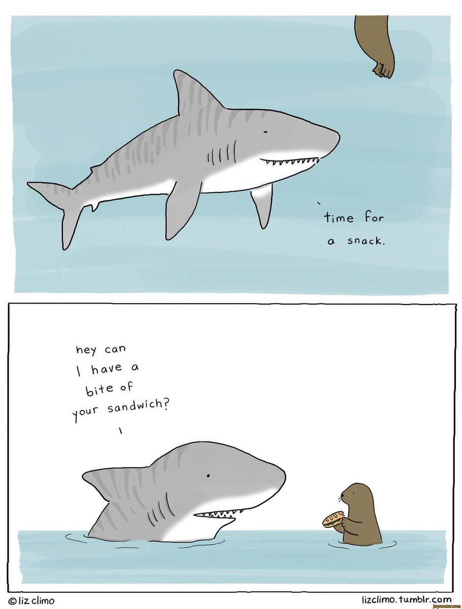 HelenTheShark's tweet photo. Assume the best of everyone.
#wednesdaywisdom https://t.co/RmK8RF8fnF
