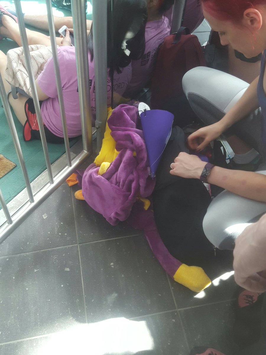 TeamPurpleUoB's tweet photo. Our mascot couldn't take the heat! #TeamPurple #TeamBradFest https://t.co/wuuAZNfsm5