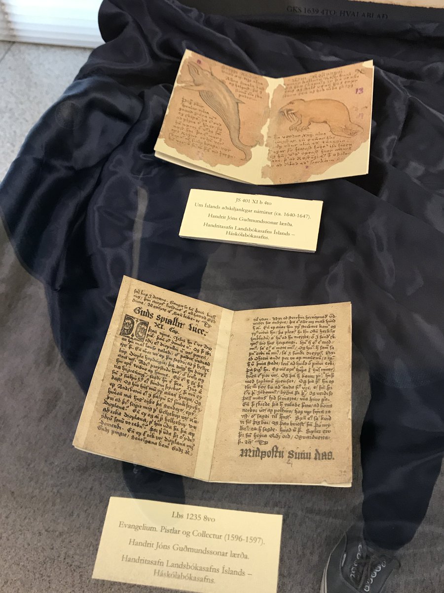 Heilsuðum upp á Jón lærða á @Landsbokasafn í morgun. Það fer vel um hann í kassanum. #jónlærði