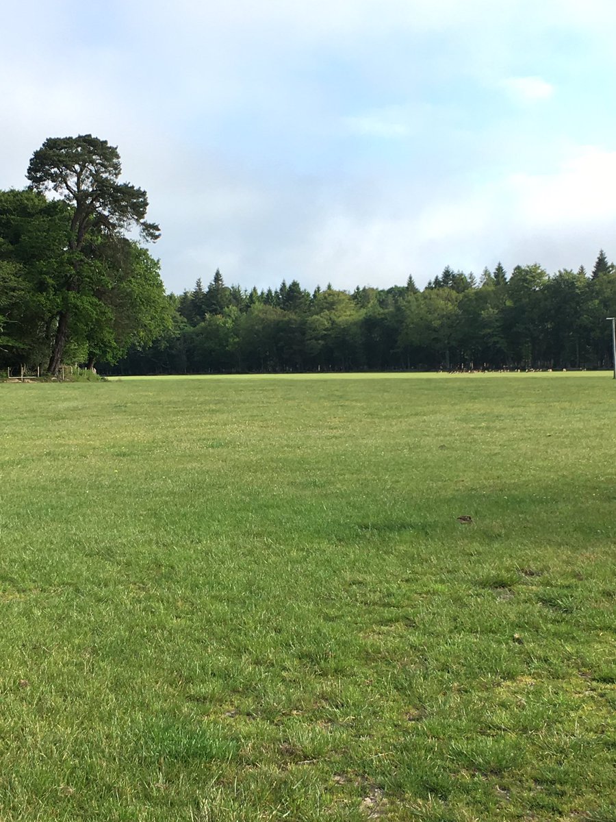 If your looking for something to do this bank holiday weekend why not come along to the New Forest Spring Fair.@newparkspring <a href="/NewForestNPA/">New Forest NPA</a>