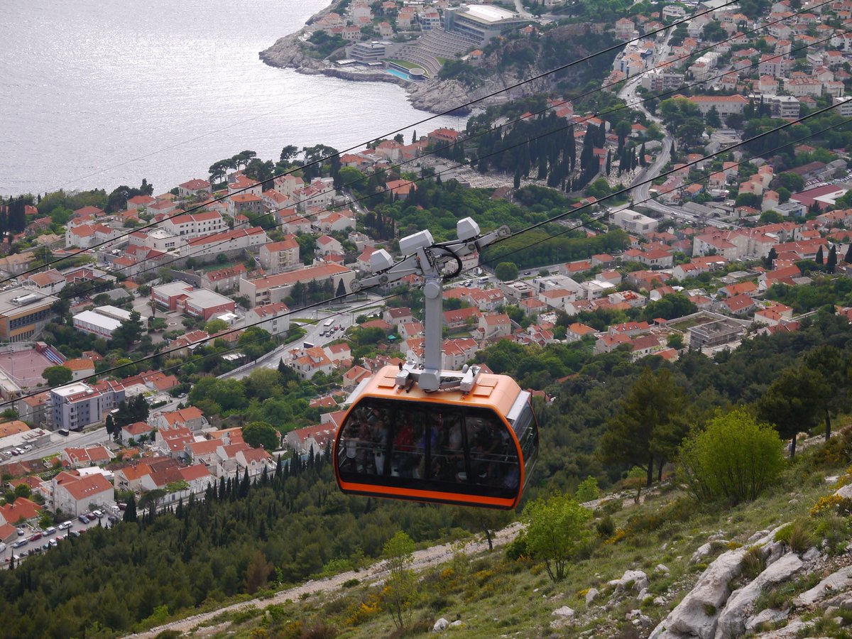 花よりお姉さん