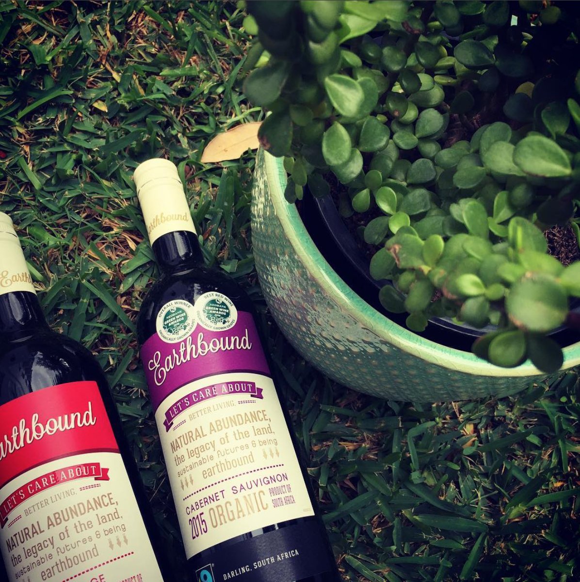 Thanks <a href="/EarthboundWines/">Earthbound Wines</a> for the #winter gift! I LOVE my spekboom &amp; can't wait to tuck into your #organic @FairtradeSA #wines! #GOGREEN
