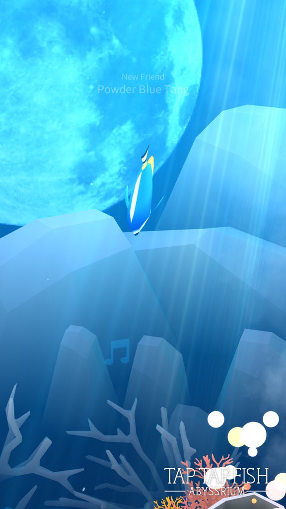 SmileMissile's tweet photo. My Powder Blue Tang:) 
#taptapfish
Download: https://t.co/KcaypRPilT https://t.co/5fuudo9CEy