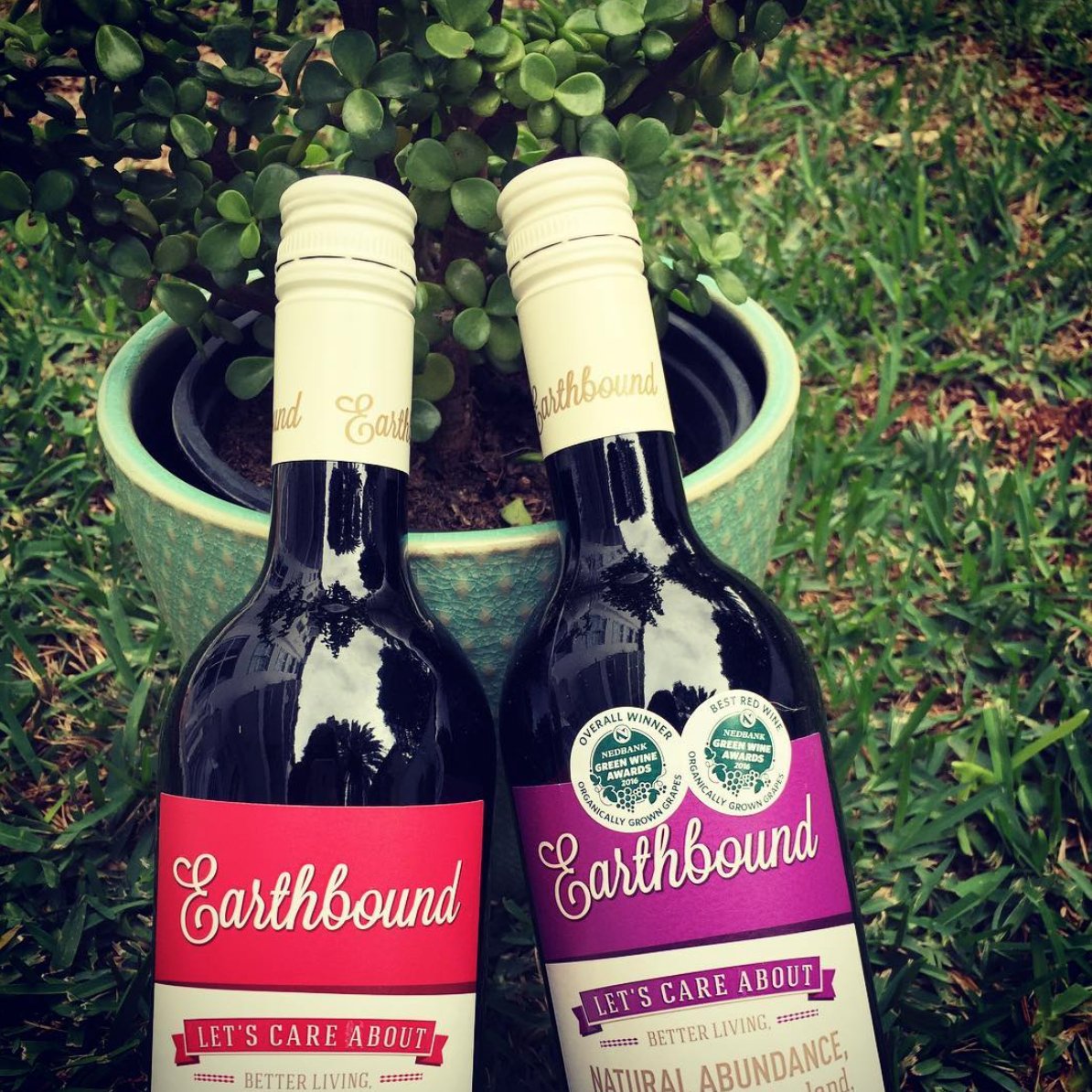 What better #winter treat than an #organic, @FairtradeSA #wine? Thanks for loving the #earth AND creating great reds, <a href="/EarthboundWines/">Earthbound Wines</a>!