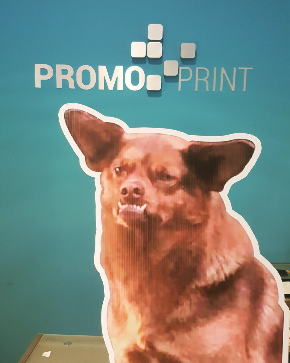 promoprintxa's tweet photo. #adopta a #chilaquil danos like en face PROMOPRINTXALAPA Y comparte nuestra publiacion #rifa 31 de mayo #murci #MiercolesDeGanarSeguidores https://t.co/mv0RYozmCo