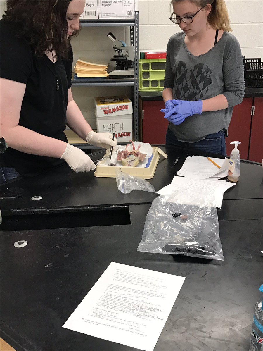 Dissection day in Waterworth and Carroll's Biology classes. #ScienceIsCool