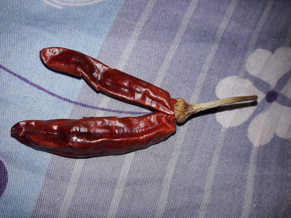 priyatharshan1's tweet photo. Today I found a twin dry red chilli with double spicy #lka #SriLanka #dryredchilli #chilli https://t.co/rIYq1Z6yeT