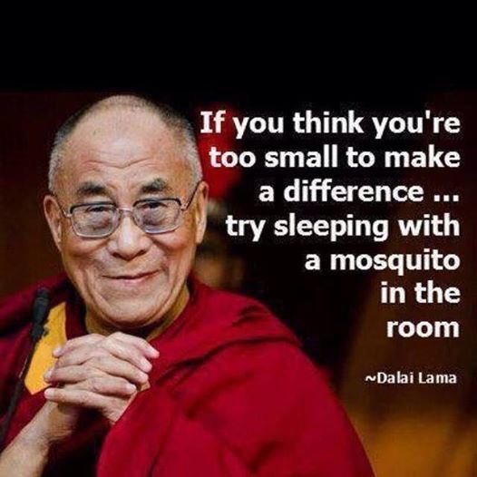 Brachyura (@crabby_2) on Twitter photo 