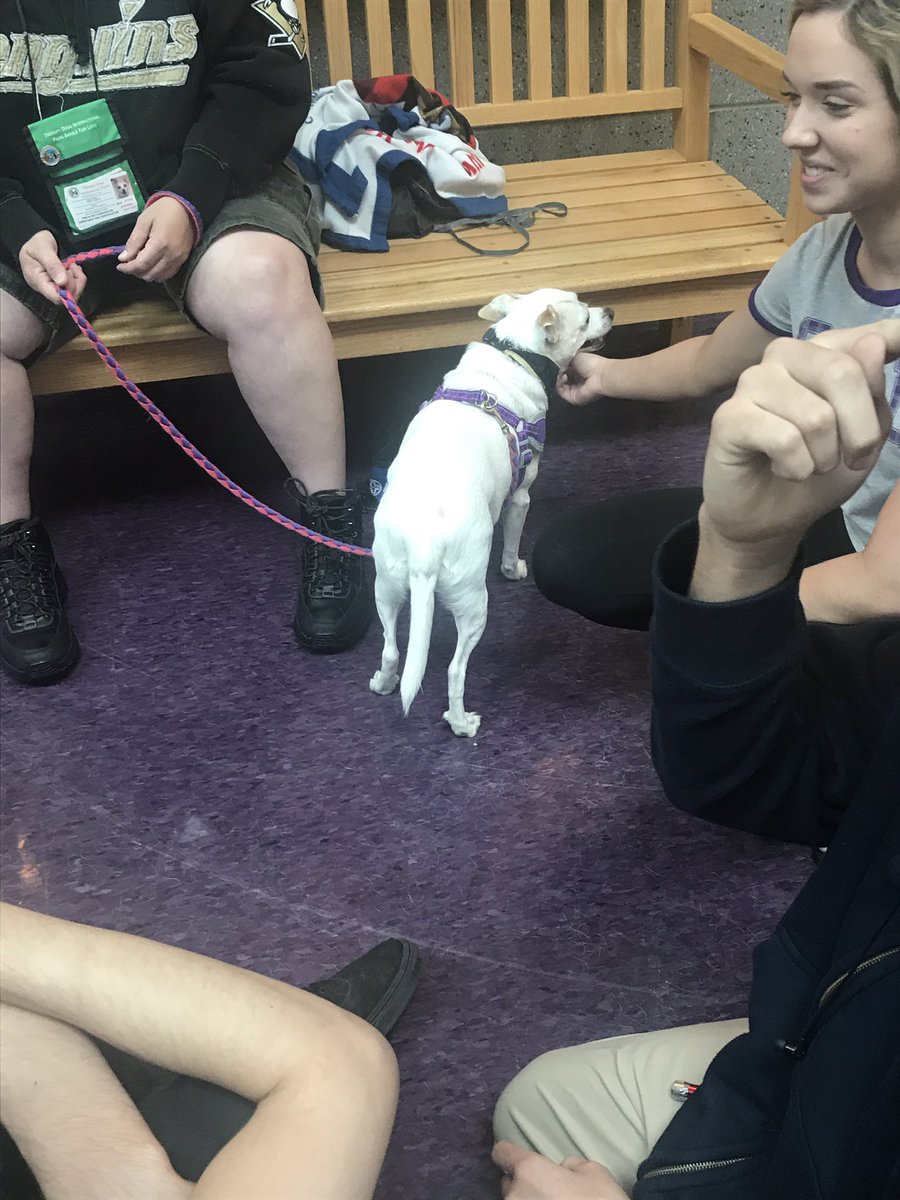 BHS_Class2017's tweet image. ‼️🐕🐩🐶‼️