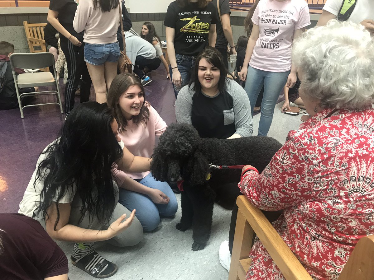 BHS_Class2017's tweet image. ‼️🐕🐩🐶‼️