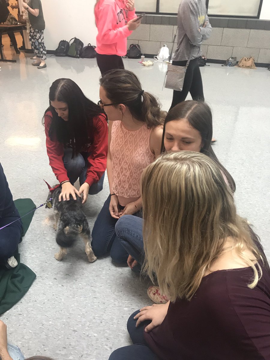 BHS_Class2017's tweet image. Too cute for words 🐶🐶🚨❣️