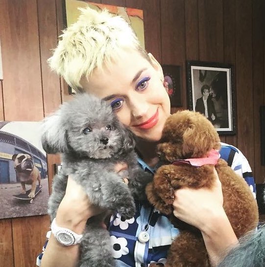 sella_sandra's tweet image. babes