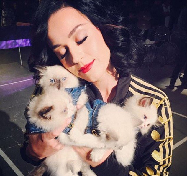 sella_sandra's tweet image. babes