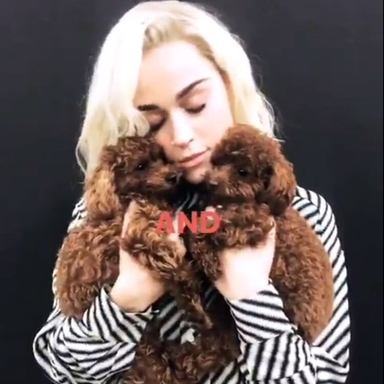 sella_sandra's tweet image. babes