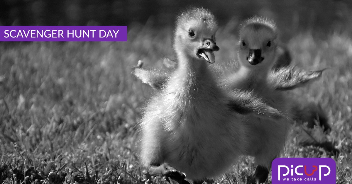 picupcalls's tweet photo. Don't send customers on a wild goose chase. PicuP routes your calls to any employee or department! Sign up for FREE! https://t.co/y2Nu1OoC7E https://t.co/xRTFe9AGQe