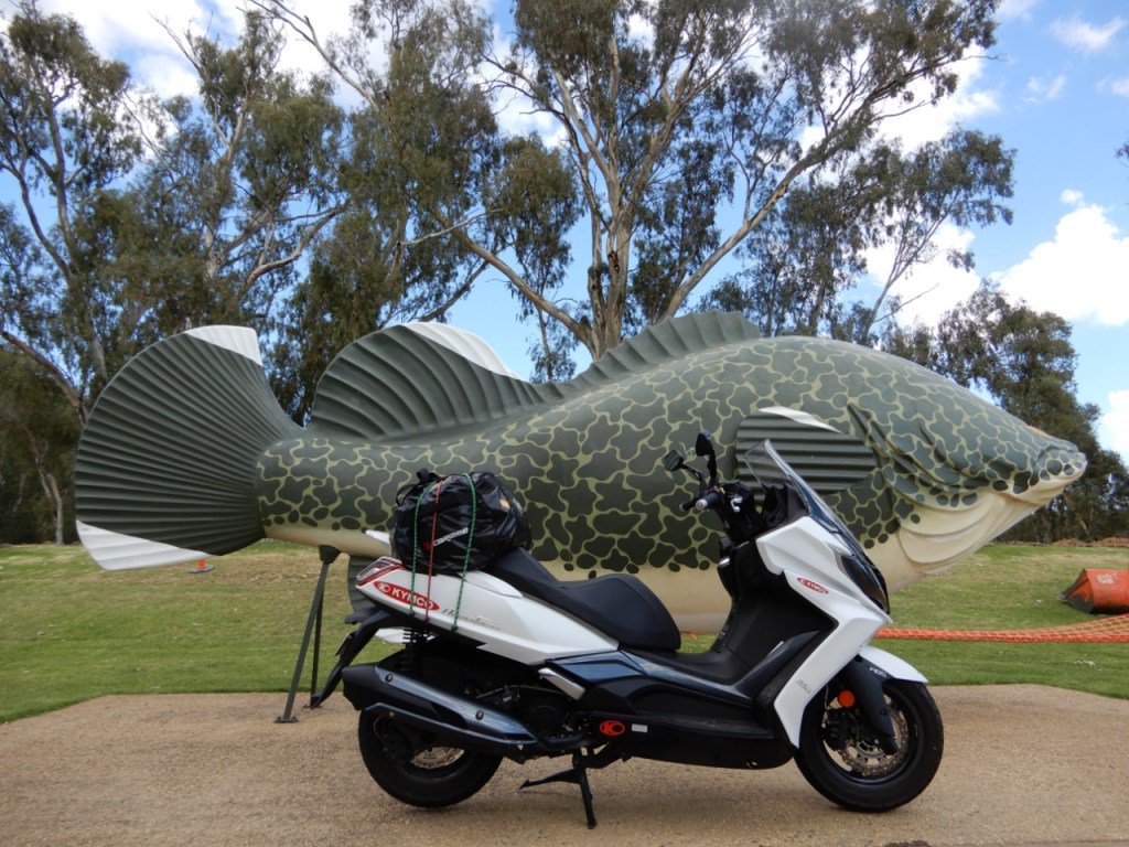 ScooterFile's tweet image. New on Scooterfile: Recap: 2017 Australian National Scooter Rally and Kymco Downtown 300i… scooterfile.com/scooter-review…
