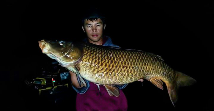 fishnfrescounty's tweet photo. #fishingfresnocounty ..
Nice little carp caught by one of facebook members https://t.co/W6UqqtzbdQ