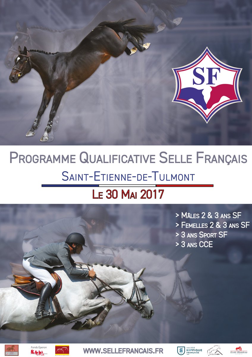 Selle Français tweet media