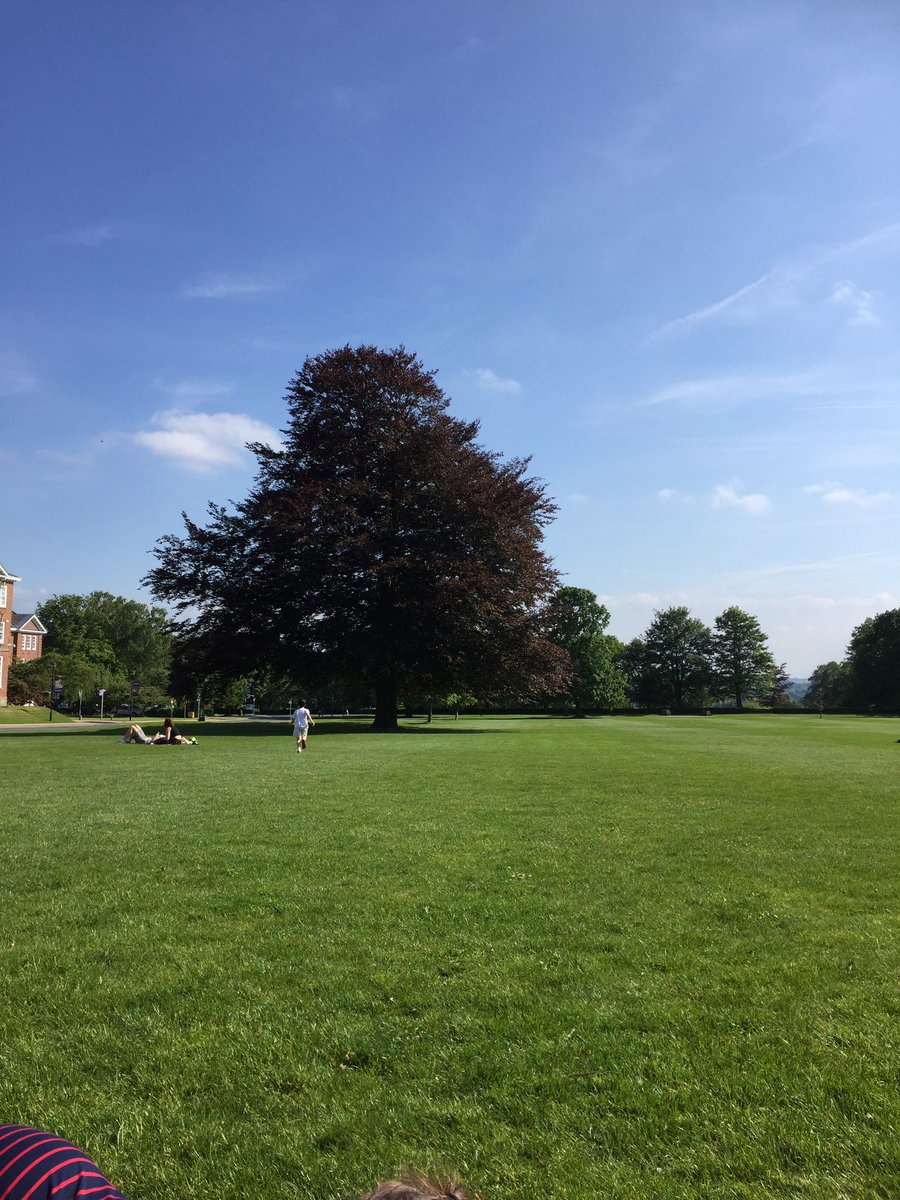 BMSLeedsBeckett's tweet photo. A great end to a great day of science. Now for the BBQ #IRNE https://t.co/mfUML8bF9a