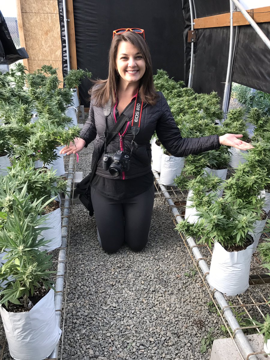 StephForrer's tweet photo. Dreams come true! I'm on a #marijuana farm! 🌱🌱🌱 https://t.co/TX2kVRnDCq