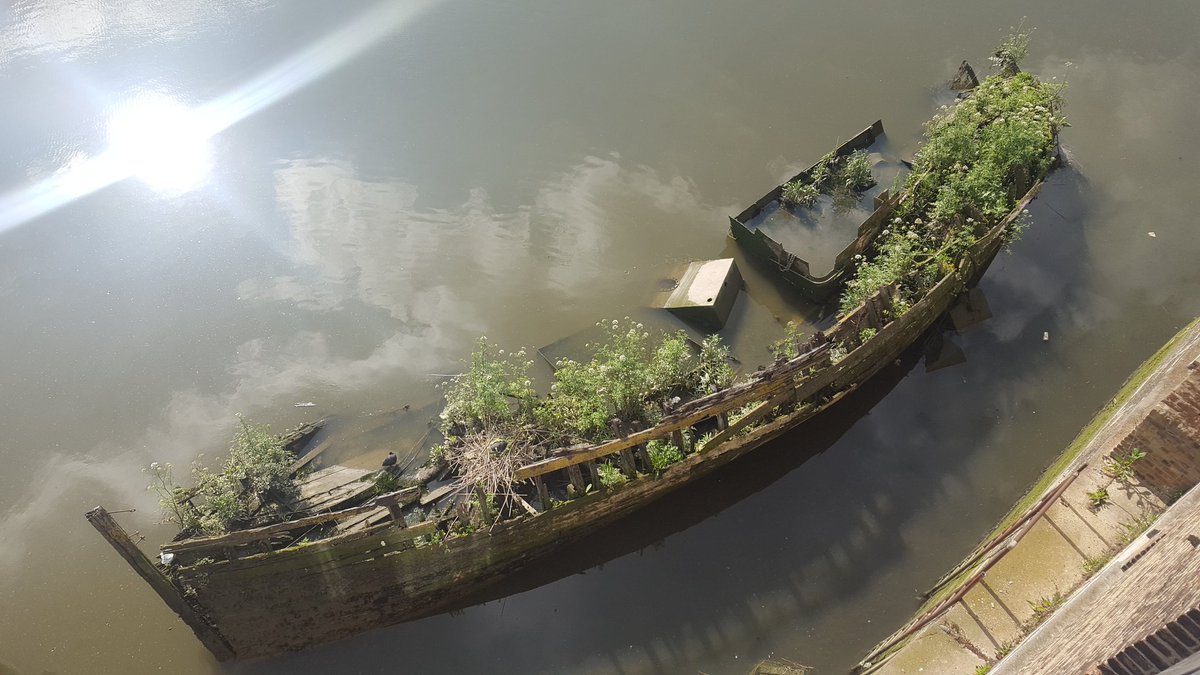 Ice House Quarter tweet media