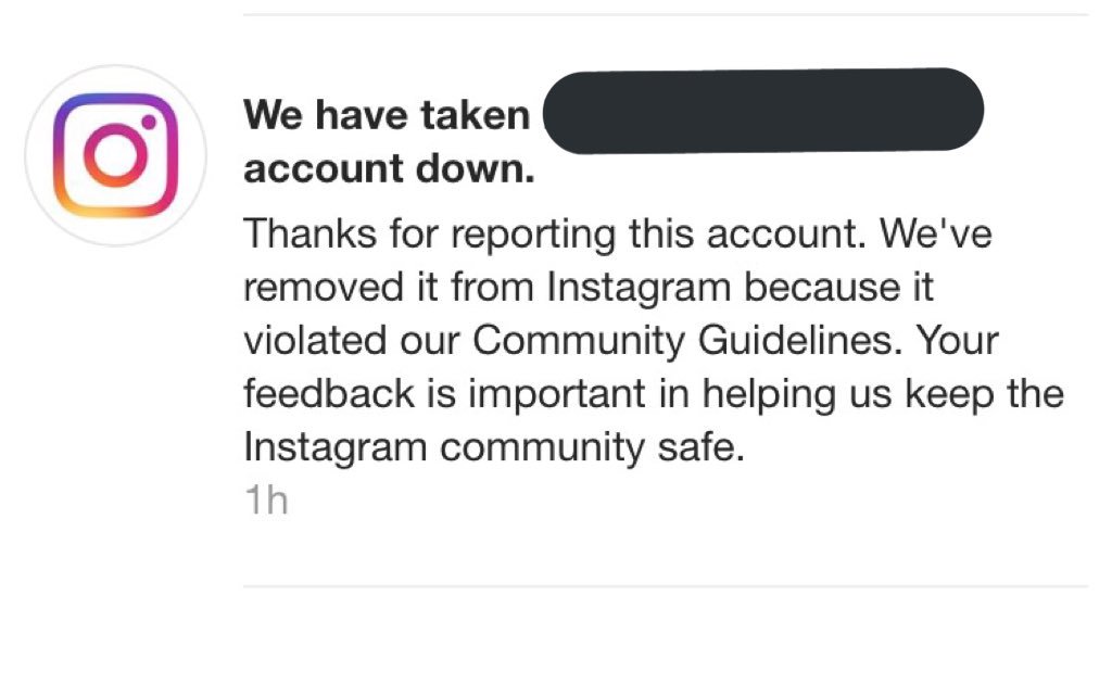 eggslane's tweet photo. There's some joy I receive when I get a notification that a spam account I reported gets taken down.
#LittleThings #WhyInternet https://t.co/8OlWt6WhMT