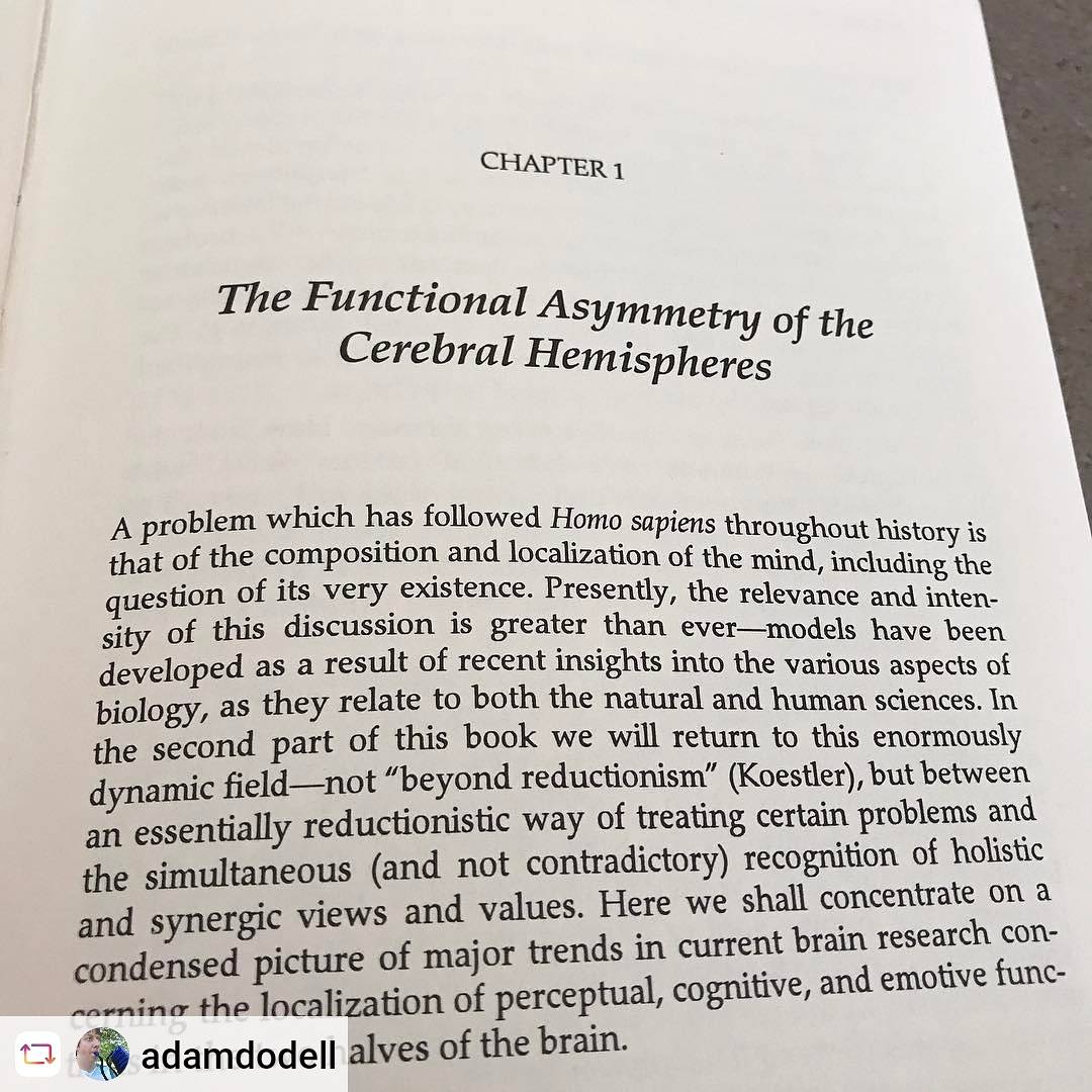 WSCM11's tweet photo. #wscm11lecturer going over their studies #adamdodell Reviewing boulder of a book for my biomusicology lecture #musiclecture #musicstudies https://t.co/yP4fbWDHY0
