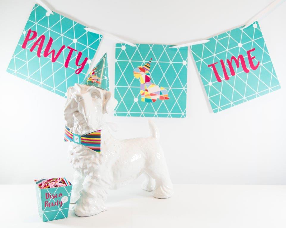 Pawtyinabox's tweet photo. We wanna Disco with your pup! #pawtyinabox #dogbirthday #dogparty #pawtybox #doglover #pawtyanimal https://t.co/yYaITva65n