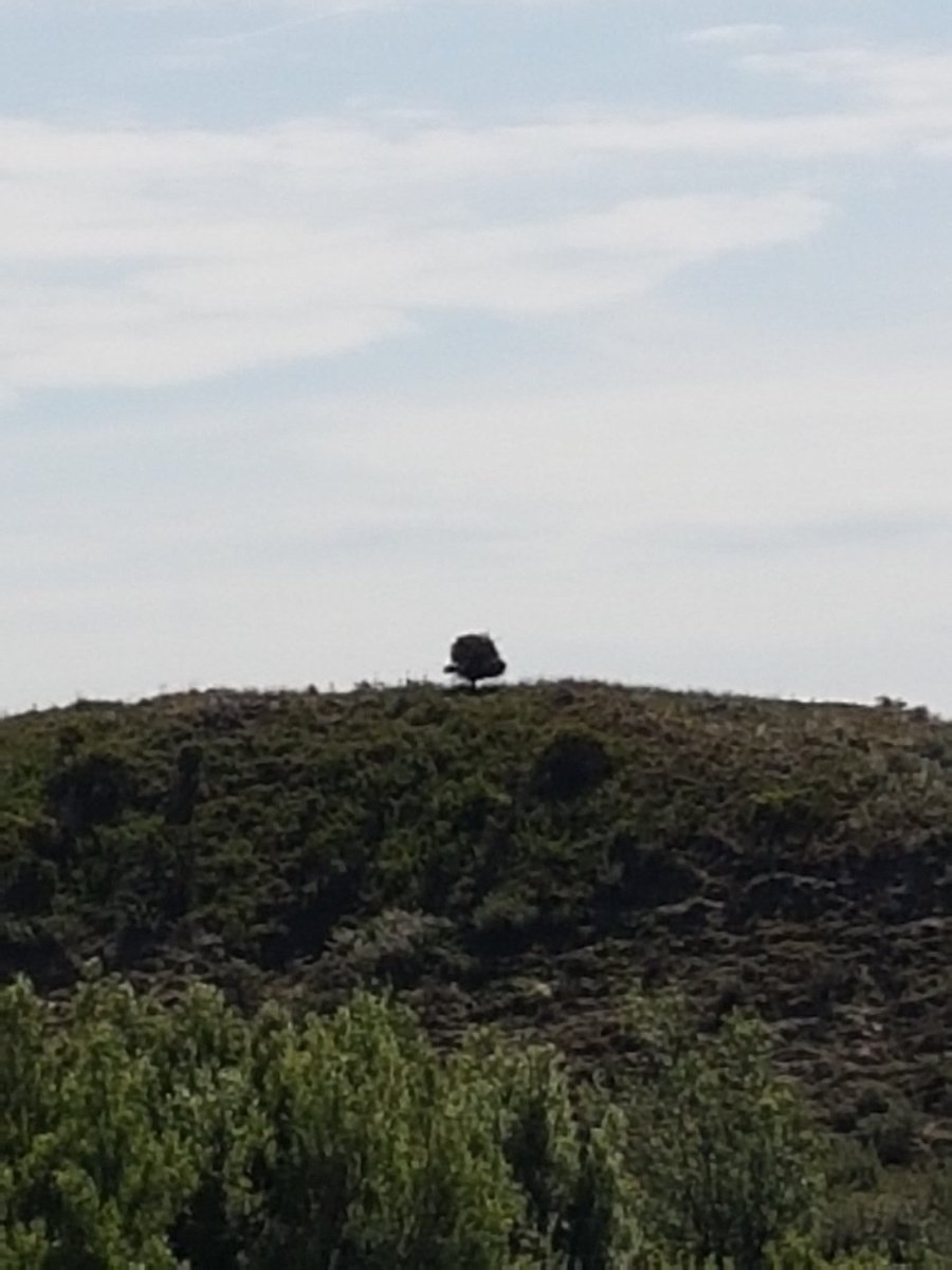 Henk de Berg tweet media