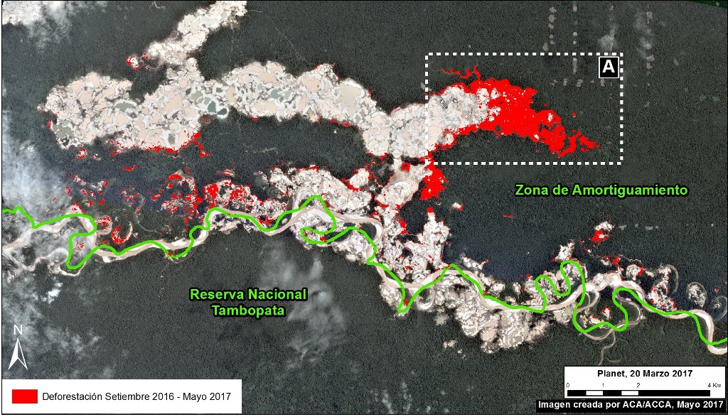 actualidadspda's tweet photo. En solo 8 meses: La minería ilegal deforestó 460 hectáreas en el límite de la Reserva Tambopata https://t.co/DHaZupZkYG https://t.co/PzyfK46QjP