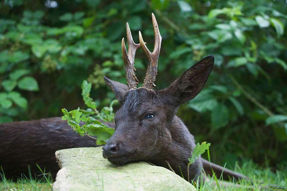 Espero tener suerte esta tarde ,voy a por ti,no soy racista ,me gustas mucho ¡¡