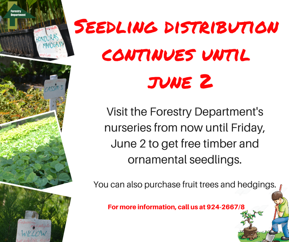 Seedling distribution continues until Friday, June 2. Bring a friend &amp; come get your free seedlings. #PlantUpJA #Trees4Life