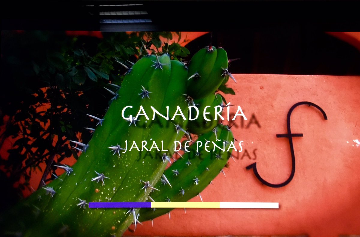 Hoy en <a href="/MexicoBravo/">Mexico Bravo</a> el legado ganadero de don Luis Barroso Barona <a href="/deJaral/">Jaral de Peñas</a> 23:30 Hrs <a href="/adn40mx/">adn40mx</a>