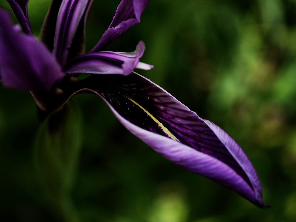 Peter James (@ambientabbot) on Twitter photo 