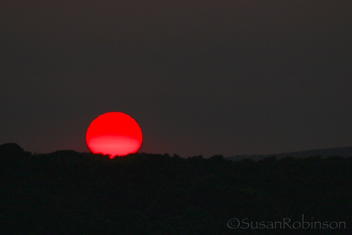 suerob50's tweet photo. The sun was incredible tonight.#highandover #sussex #eastsussex #sunset #sun https://t.co/VYzrKKTA42
