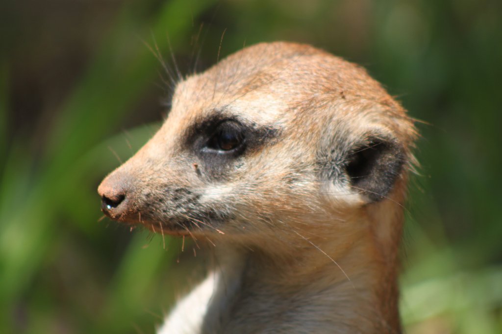 Happy #AfricaDay - so grateful to live on the world's most beautiful and fascinating continent!