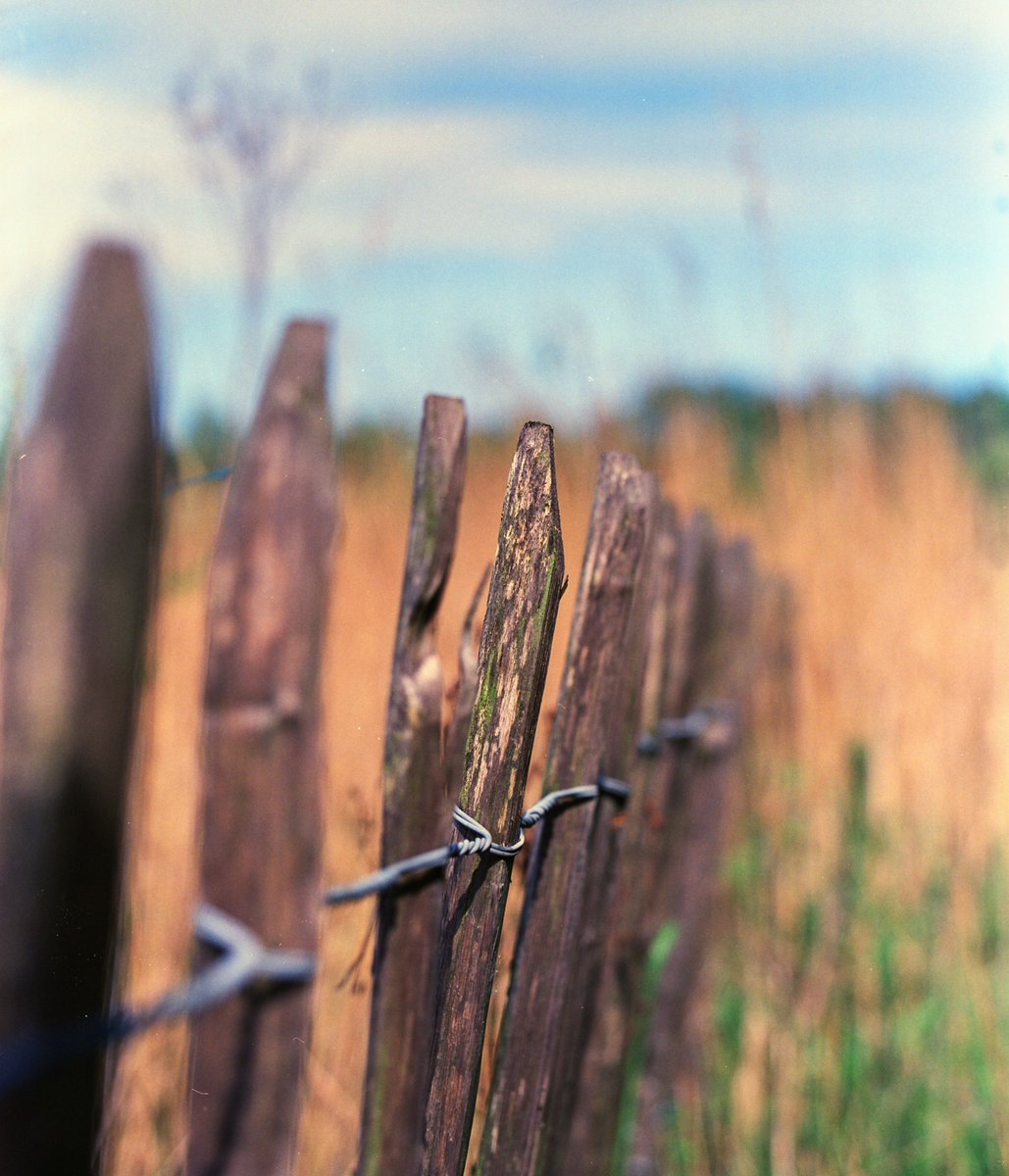 DirkBruyns's tweet photo. #VuilePlas #Kontich #Mamiya #RB67 #expired 1999 #AGFA #ultra50 home developed #Canoscan 8800f #filmisnotdead https://t.co/s57e98TQNV