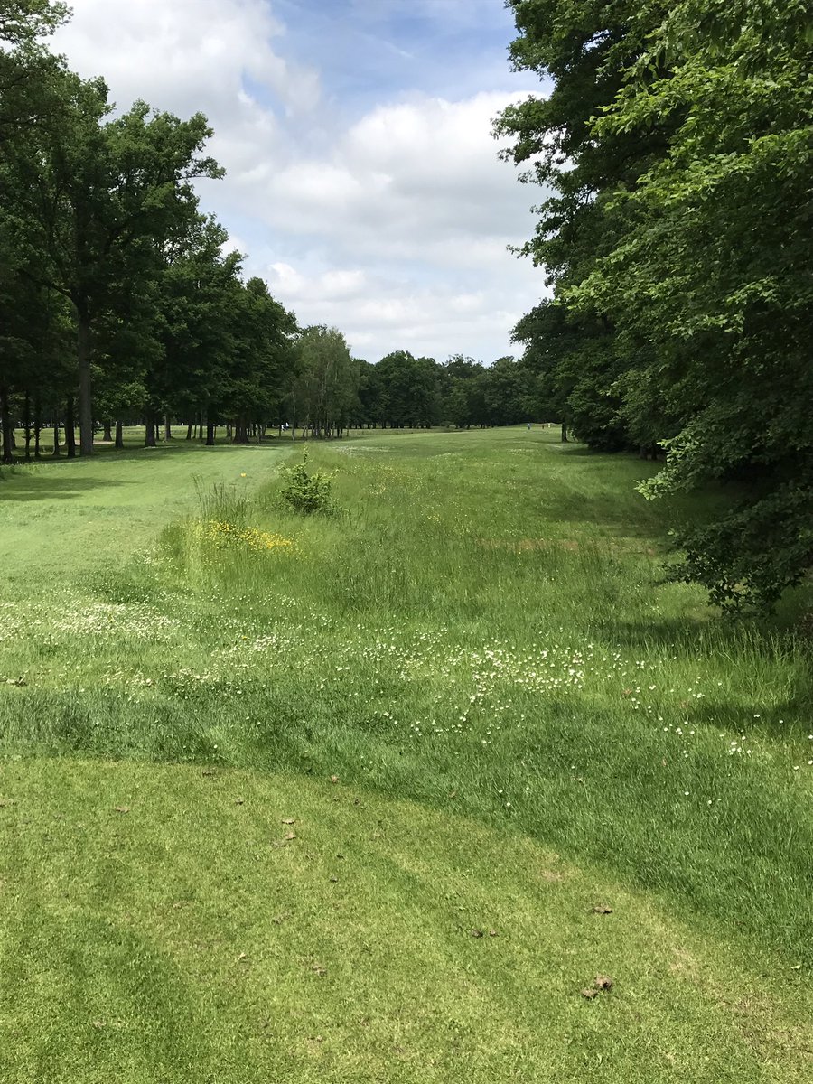 GolfTeamJLR's tweet photo. Tight fairways and small greens this week @golfclementader | 8:29 starting time tomorrow! #golf #golfteamjlr #alpstour https://t.co/O0nGiZzFcE