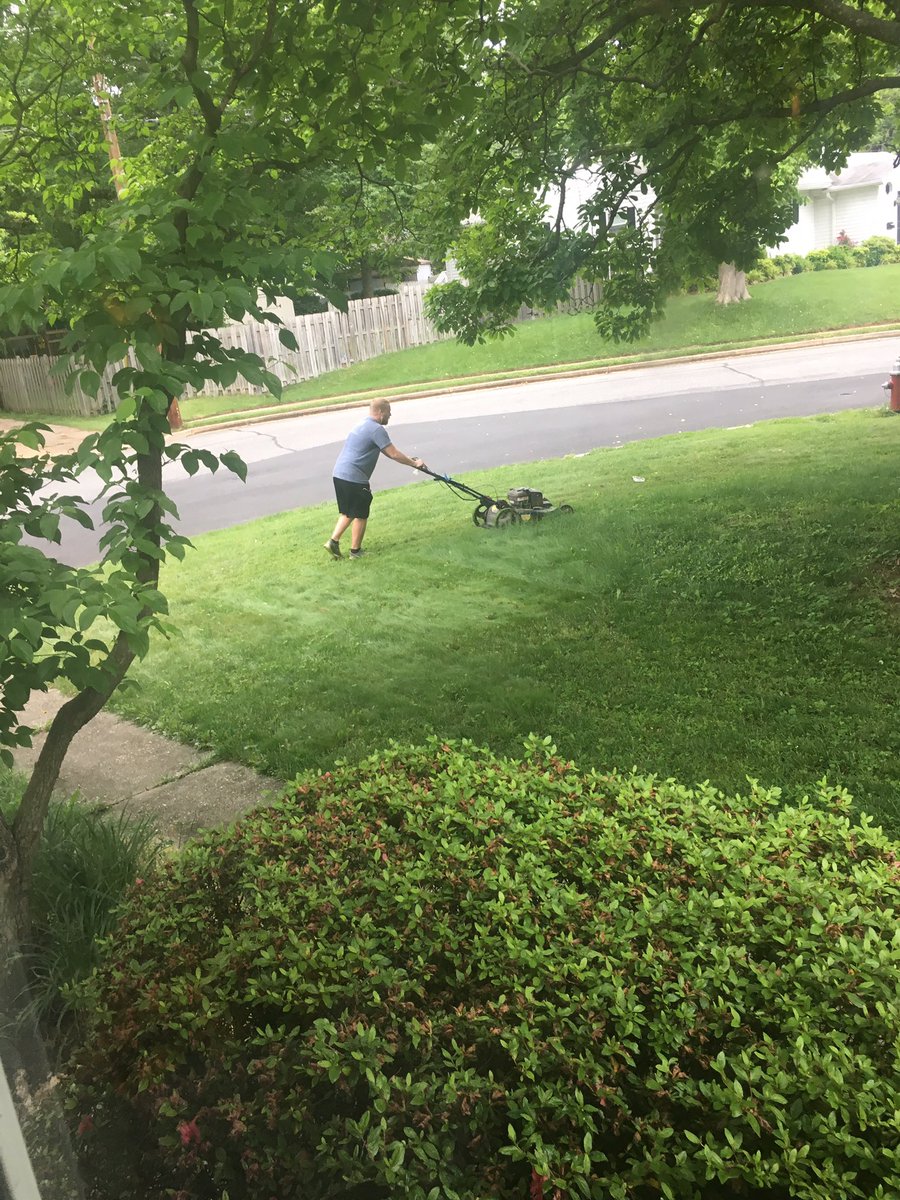 babesofhaven's tweet photo. We love having @tommy_lowry living in Flagship now 😍 huge thanks and shout out from us and our now-kept lawn!!! https://t.co/RQnc0u3iPU