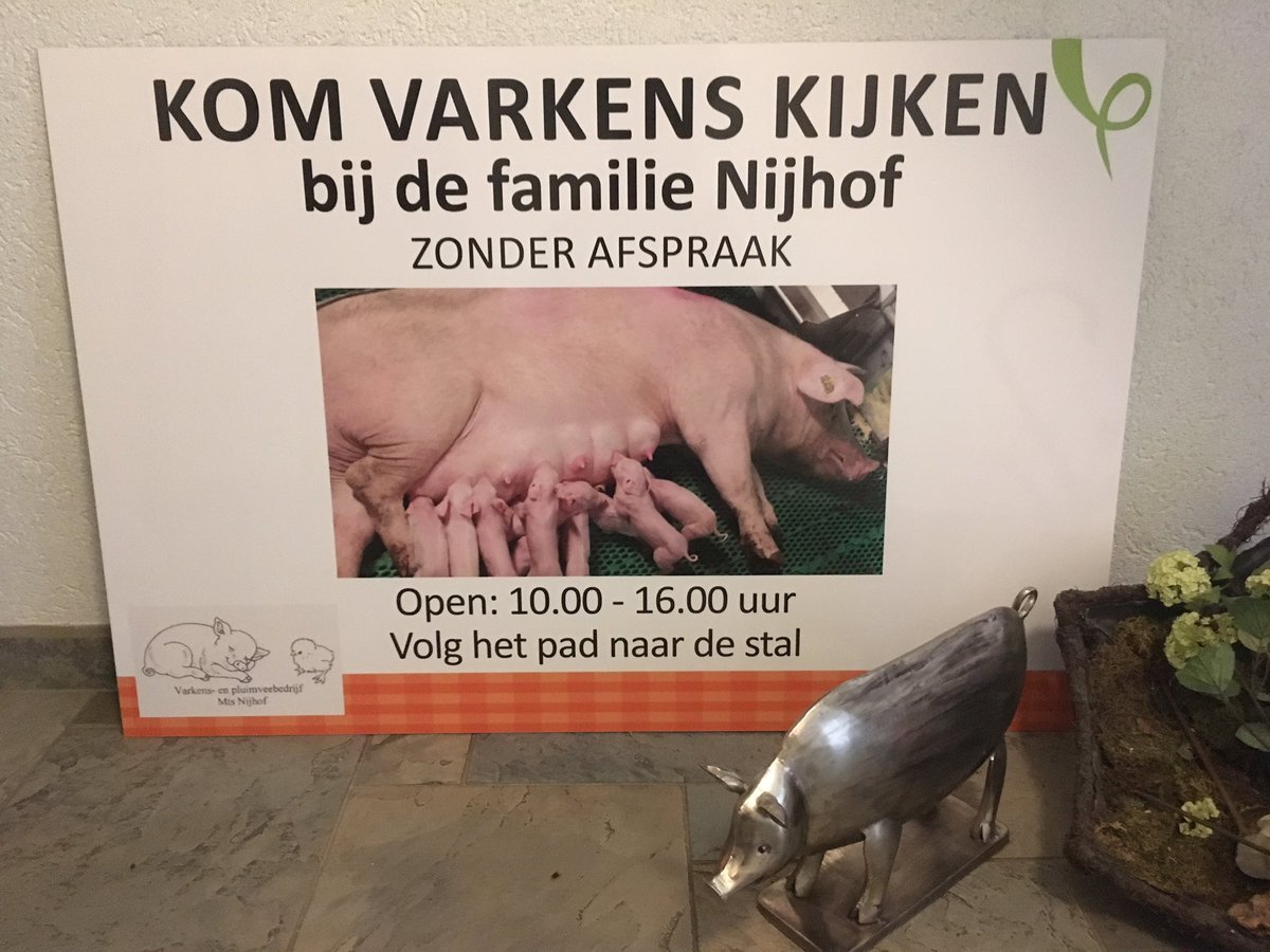 Komen jullie morgen ook varkenskijken op hemelvaartsdag?!
